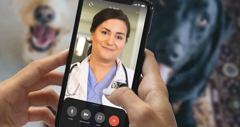 Airvet obtains $14 million in investor funding