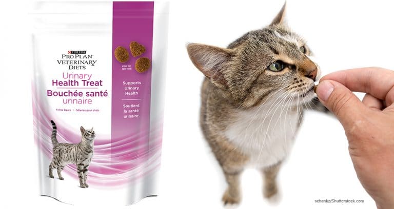 New treat supports feline urinary health