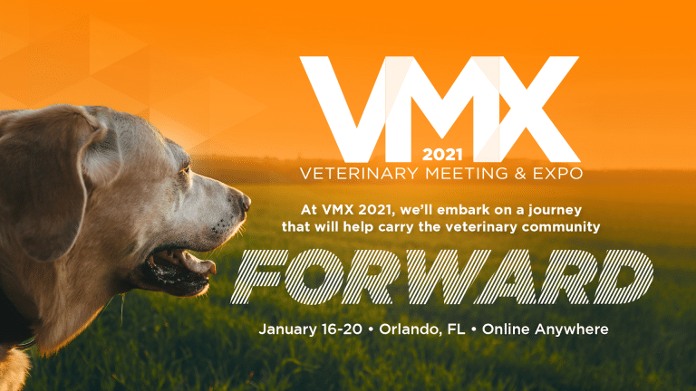 Register now for VMX 2021