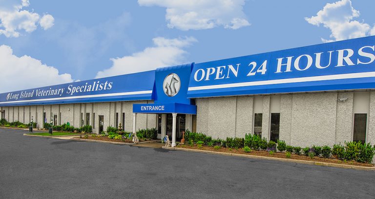 Compassion-First acquires Long Island specialty hospital