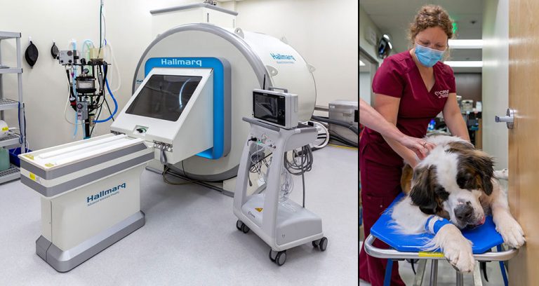 Hallmarq updates MRI unit for small animals