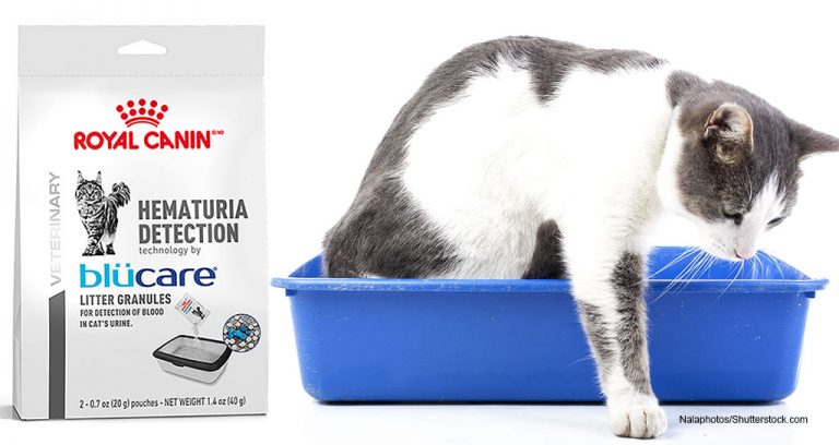 New from Royal Canin: Hematuria Detection