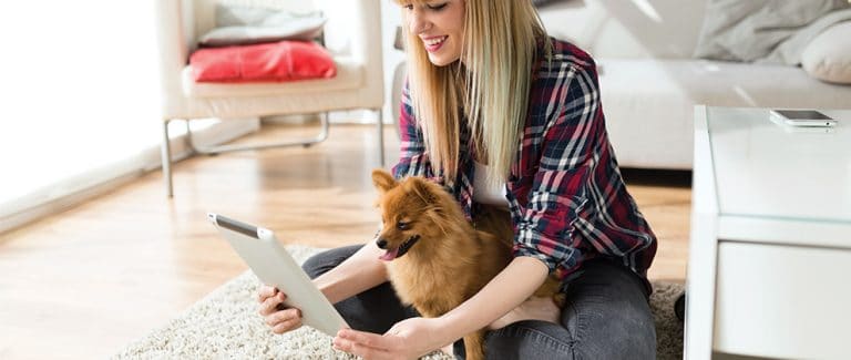 Preparing for the Post-Pandemic Veterinary Business Landscape