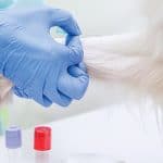 veterinary diagnostic equipment tips