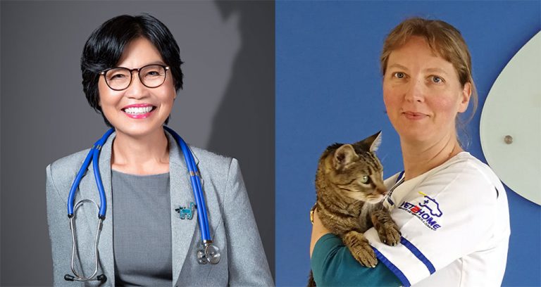 WSAVA Elects Its First Female President