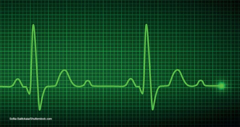 A New Approach to Solving Veterinary Burnout