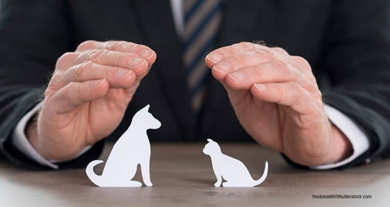 Wagmo pet insurance can be found in 13 states