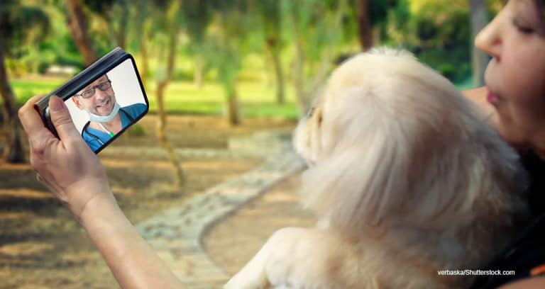 Vetster matches pet owners with veterinary advisers