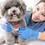 graduates pet care