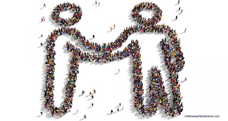 Veterinary Leaders: Let’s Learn to Get Along