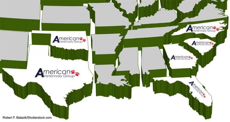 American Veterinary Group Finds an Investment Partner
