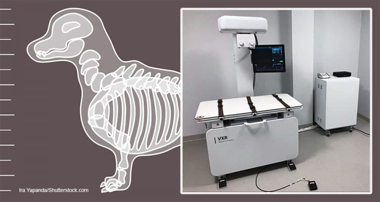 Fujifilm Launches VXR Veterinary X-Ray Room