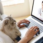 telehealth