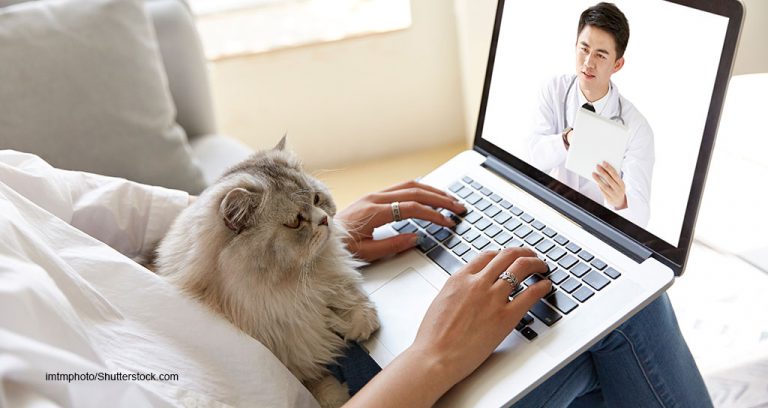 AVMA, AAHA Release Telehealth How-to Guide