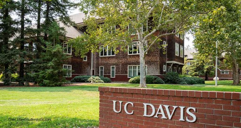 U.S. Veterinary Schools Fare Well in Rankings