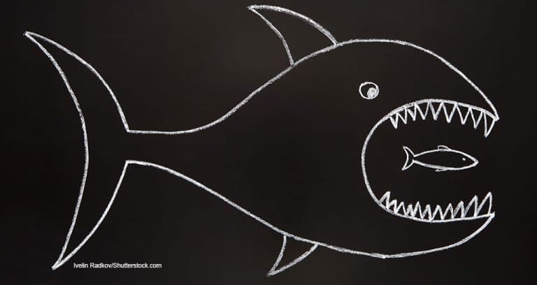 Practice Consolidators Show No Sign of Slowing