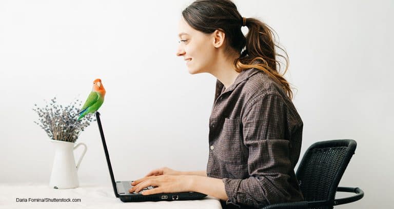 WhiskerDocs Expands Into Avian Telehealth