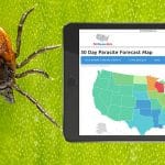 diseases forecast
