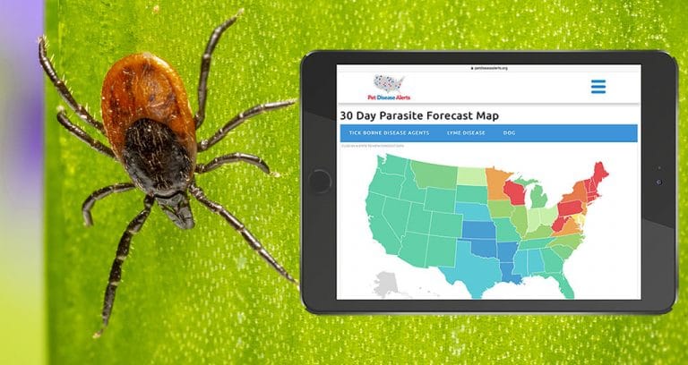 CAPC Predicts Wider Spread of Parasitic Diseases