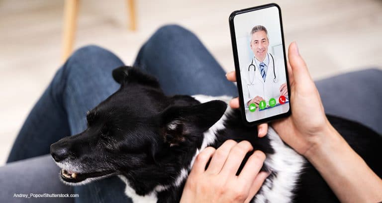 British Study Shows Effectiveness of Virtual Care