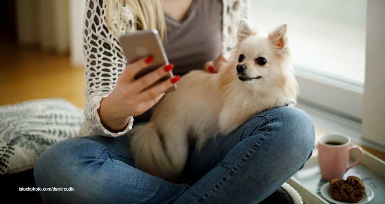 6 Reasons to Embrace Telehealth