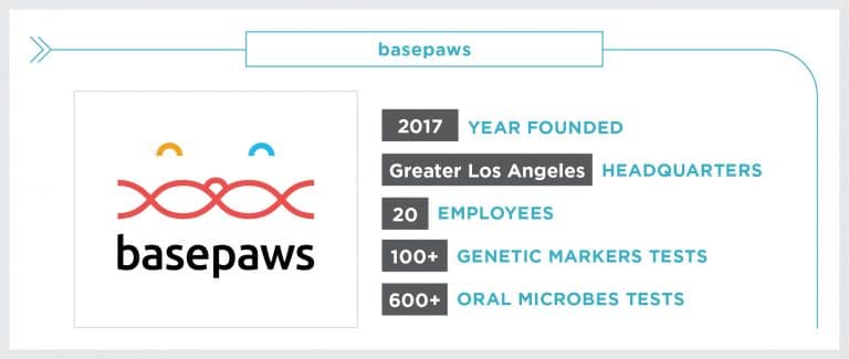 Vision Statement: Basepaws