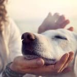emotional health