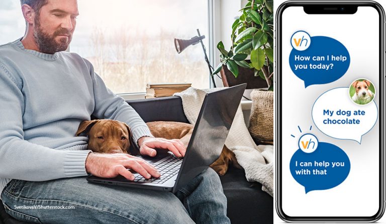 Nationwide Offers Telehealth Service to All Pet Owners