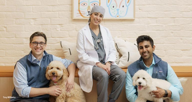 8-Clinic Chain Gets $170 Million Investment