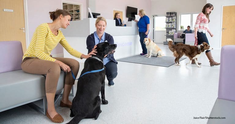 5 Considerations for Reopening Your Clinic