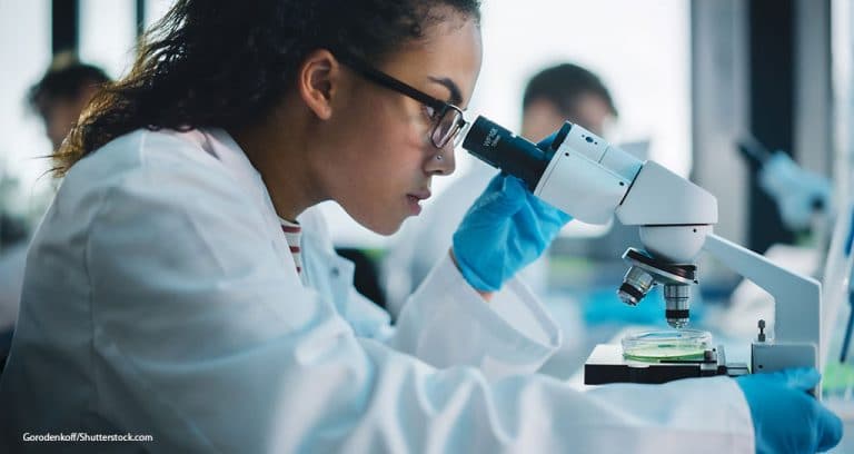 Veterinary School Applications Rise 5.5%