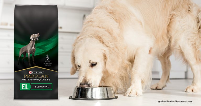 Purina Pro Plan Launches Enteral Diet for Dogs