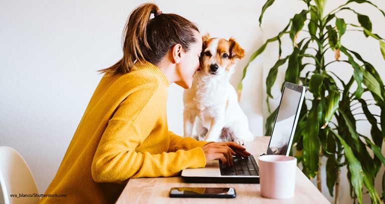 4 Keys to an Awesome Veterinary Website