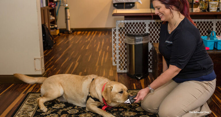 Cooperative Care Breeds Better Behavior