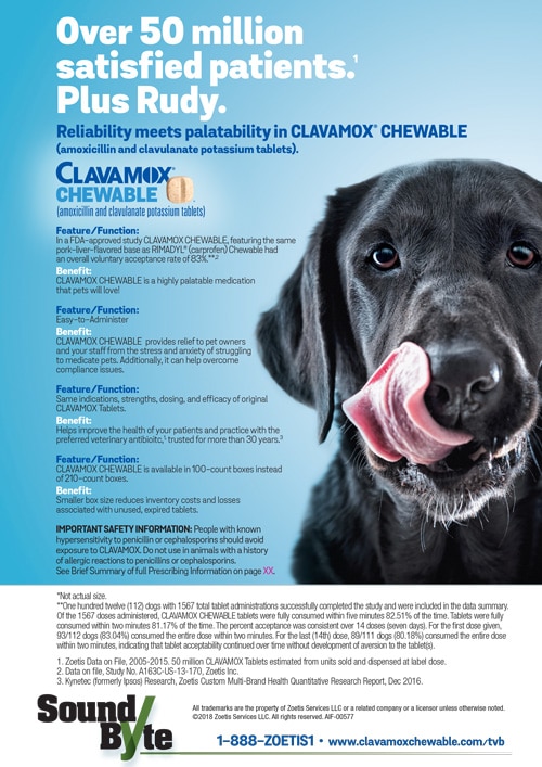 Clavamox Chewable