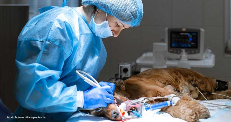 Rethinking the Technician’s Role in the Age of Telemedicine