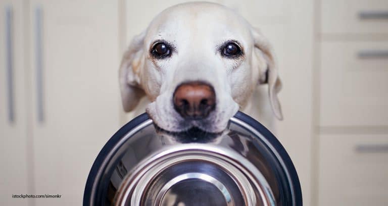 The Bowl Truth
