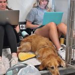 veterinary hospital