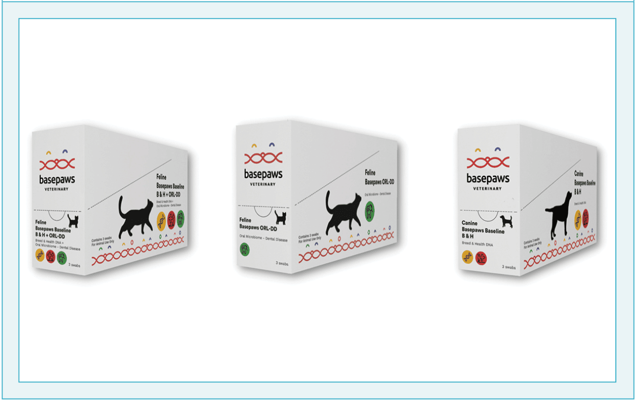 Basepaws Screening Tools - Featured Image