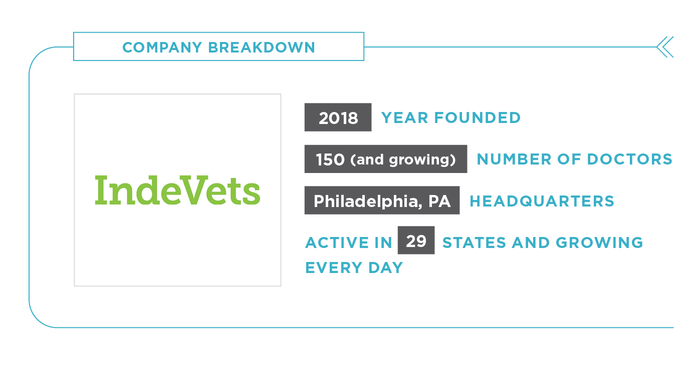 Vision Statement 2022: IndeVets - Featured Image