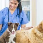 general practice