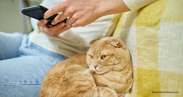 Covetrus Markets Co-Branded GluCurve Pet CGM