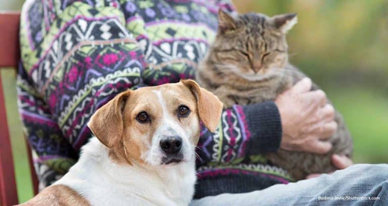 AAHA Releases Senior Care Guidelines