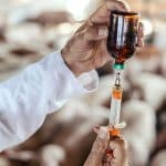 antimicrobials