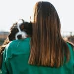 pet health care