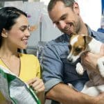 pet food