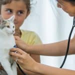 veterinarian with a cat