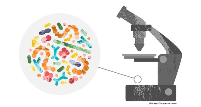 Purina Funds Microbiome Research at Texas A&M