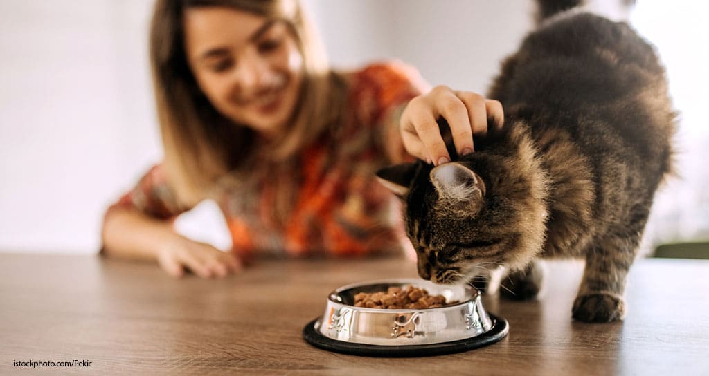 Your Partners in Animal Health - Featured Image