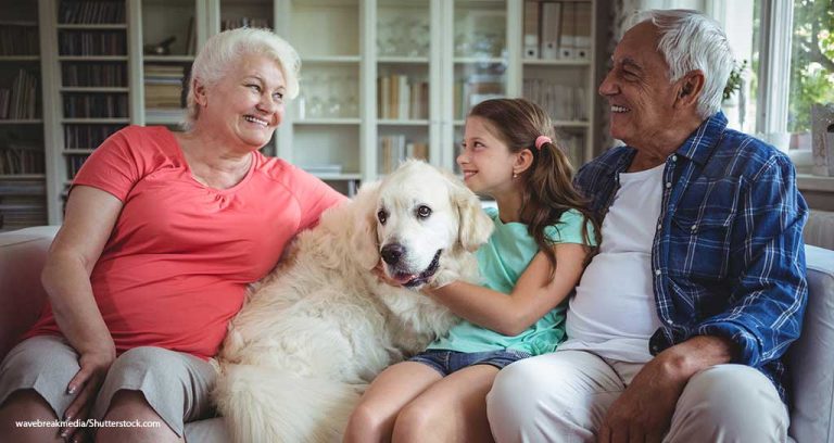 Pet Ownership Saves Billions in Human Health Care